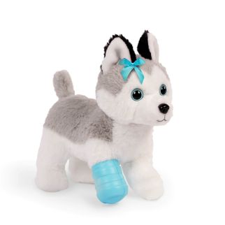 Pucci Husky hos dyrelægen