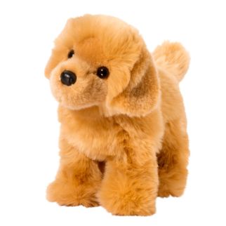 Hund - Golden retriever, Chap 25 cm