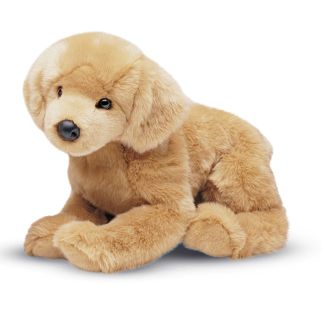 Hund - Golden retriever, Honey 58 cm