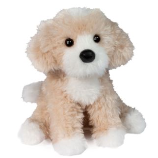 Hund - Goldendoodle, Darcey 23 cm