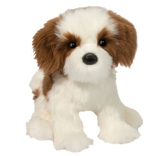 Hund - Shih tzu, Farren 30 cm