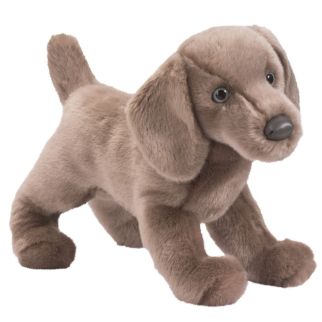 Hund - Weimaraner, Cassie 40 cm