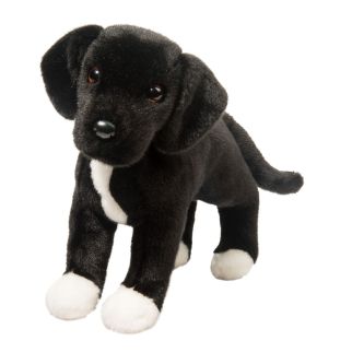 Hund - Labador/pit mix  40 cm
