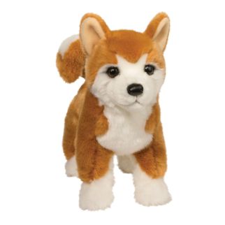 Hund - Shiba inu, Dunham 40 cm