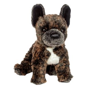 Hund - Fransk bulldog, Billie 40 cm
