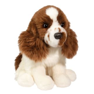 Hund - Springer spaniel, Chip 40 cm