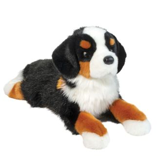 Hund - Berner sennen, Trooper,  53 cm