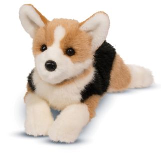 Hund - Corgi trefarvet, Konner,  48 cm