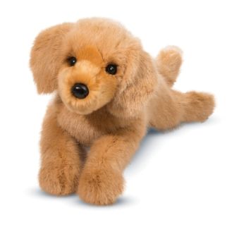 Hund - Golden retriever, Oakley,  48 cm