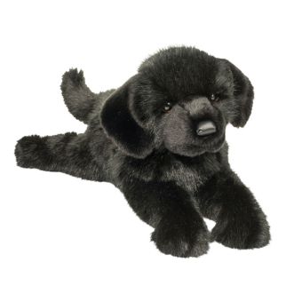 Hund - Labrador sort, Jake,  53 cm