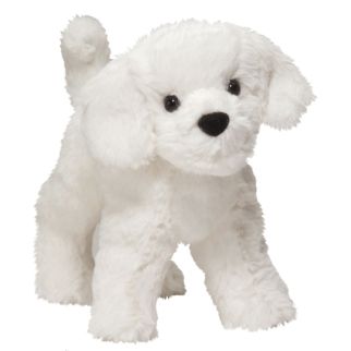 Hund - Bichon frisé, 20 cm