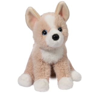 Hund - Pomsky, Pookie,  25 cm