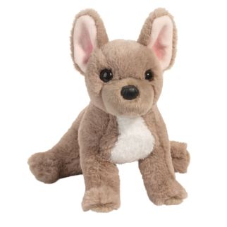 Hund - Fransk bulldog, Gabbie,  24 cm