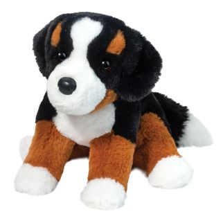 Hund - Berner sennen, Bowie,  28 cm