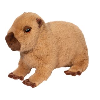 Jungle - Flodsvin, Chattie, Super  33 cm