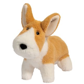 Hund - Corgi, Carl, Muzzles 19 cm