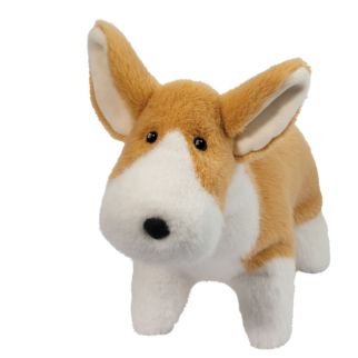 Hund - Corgi, Carl, Muzzles 25 cm