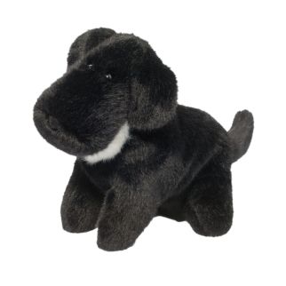 Hund - Labrador sort, Linda, Muzzles 25 cm