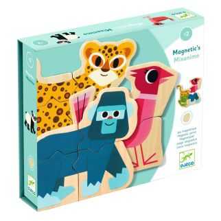 Magneter, Mixanimo