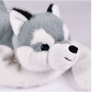 PODCOLL - Tyngdedyr Husky hund, 50 cm
