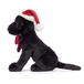 JUL - Winter Warmer Pippa Labrador, 22 cm