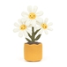 Fun Plant, Amuseables Marguritter, 34 cm