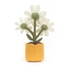 Fun Plant, Amuseables Marguritter, 34 cm