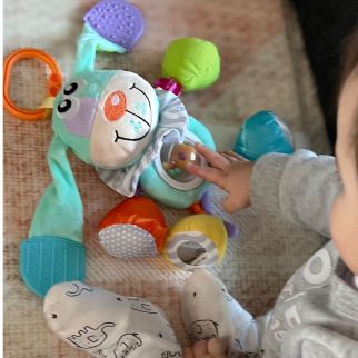 Aktivitets hund, blå*