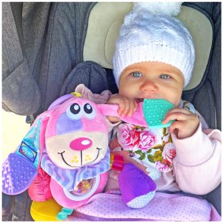 Aktivitets hund, pink*