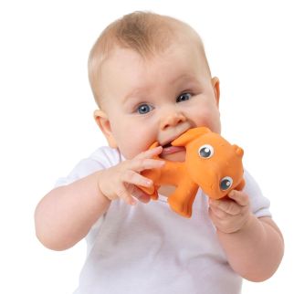 Pooky naturgummi hund, orange*