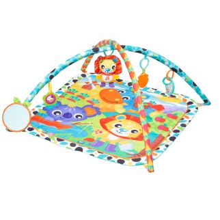 Giggly Garden musical gym