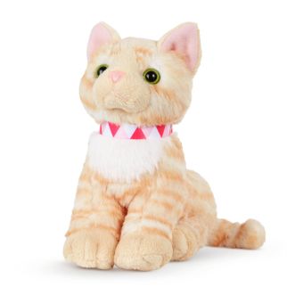 OG Shorthair killing, bevægelige ben