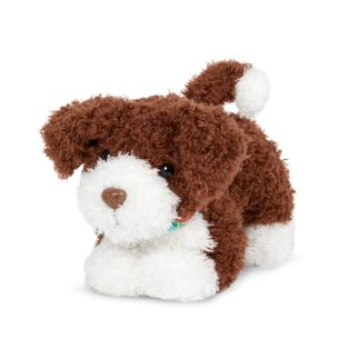 OG Portugisisk vandhund bevægelige ben