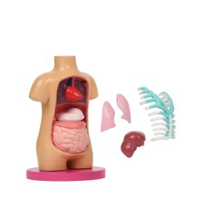 OG Skoletilbehør, Biologi*