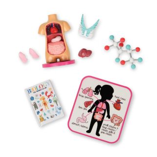 OG Skoletilbehør, Biologi*