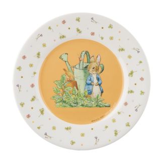 Peter Kanin, tallerken vandkande NY