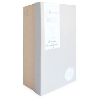 COLLECTOR - Bjørn beige original, nusseklud 25 cm (i æske)