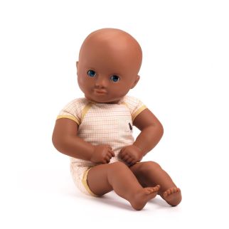 Pomea, Dukke -  Issoria