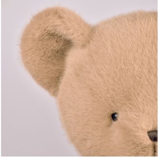 CLEMENTIN - Bjørn honning, 80 cm