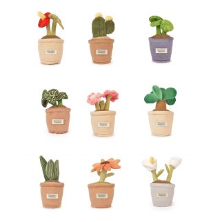 Botanik - Små stueplanter, 9 assorterede