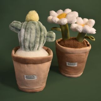 Botanik - Kaktus, 25 cm