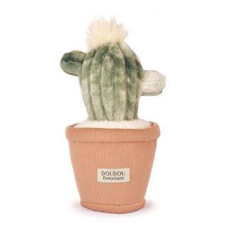 Botanik - Kaktus, 25 cm